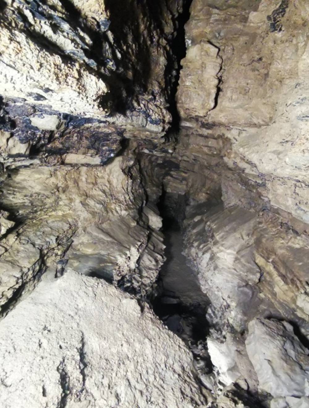 Rinderschädel - Fundstück in der Wadokohöhle