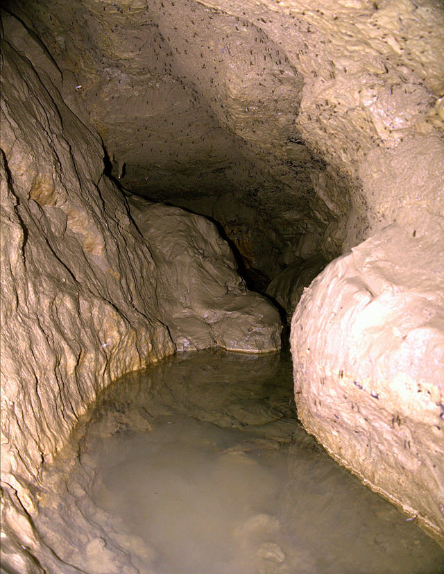 Moosbröller-Im aktiven Höhlenteil.